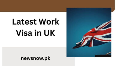 Latest Work Visa in UK