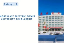 Northeast Electric Power University Scholarship