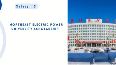 Northeast Electric Power University Scholarship