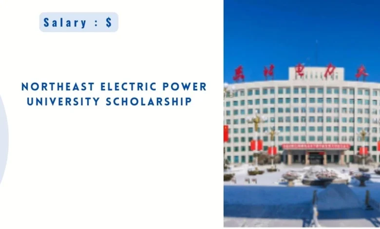 Northeast Electric Power University Scholarship