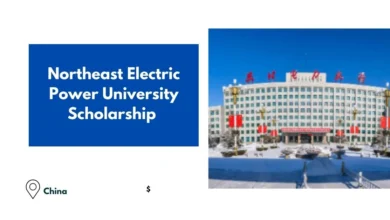 Northeast Electric Power University Scholarship