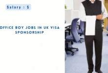 Office Boy Jobs in UK