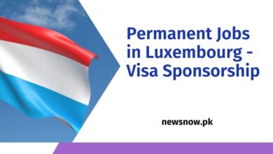 Permanent Jobs in Luxembourg - Visa Sponsorship