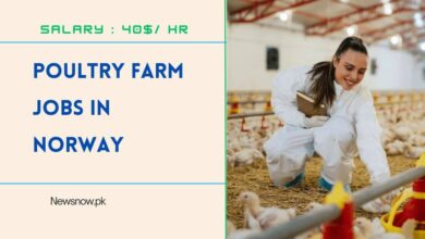 Poultry Farm Jobs in Norway