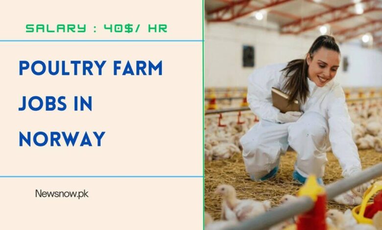 Poultry Farm Jobs in Norway