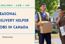 Seasonal Delivery Helper Jobs in Canada