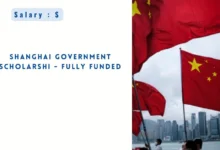 Shanghai Government Scholarship