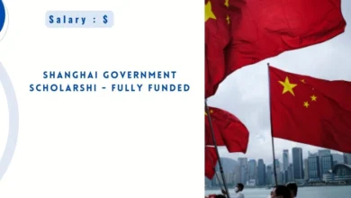 Shanghai Government Scholarship