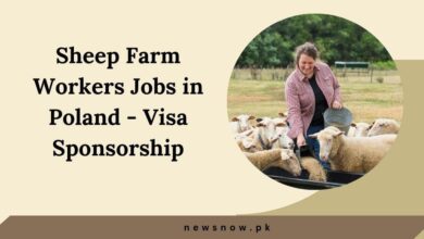 Sheep Farm Workers Jobs in Poland - Visa Sponsorship