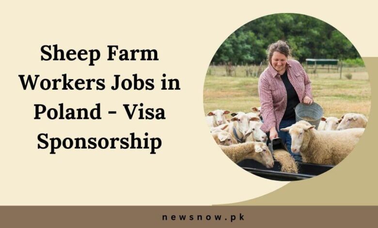 Sheep Farm Workers Jobs in Poland - Visa Sponsorship