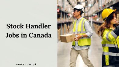 Stock Handler Jobs in Canada