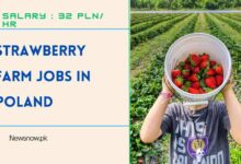 Strawberry Farm Jobs in Poland