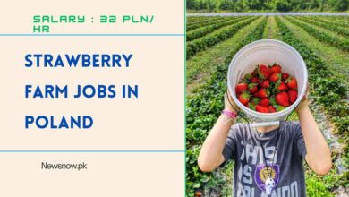 Strawberry Farm Jobs in Poland