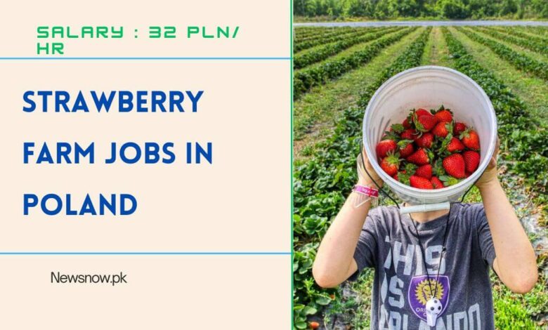 Strawberry Farm Jobs in Poland