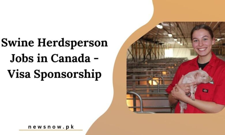 Swine Herdsperson Jobs in Canada - Visa Sponsorship