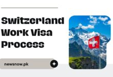 Switzerland Work Visa Process