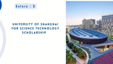 University of Shanghai for Science Technology Scholarship