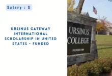 Ursinus Gateway International Scholarshi