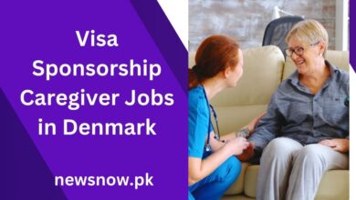 Visa Sponsorship Caregiver Jobs in Denmark