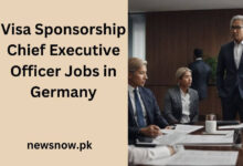 Visa Sponsorship Chief Executive Officer Jobs in Germany