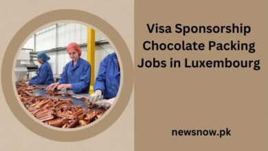 Visa Sponsorship Chocolate Packing Jobs in Luxembourg