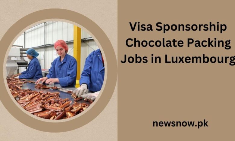 Visa Sponsorship Chocolate Packing Jobs in Luxembourg