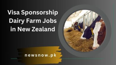 Visa Sponsorship Dairy Farm Jobs in New Zealand