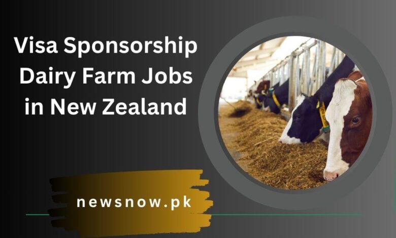 Visa Sponsorship Dairy Farm Jobs in New Zealand