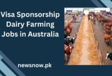 Visa Sponsorship Dairy Farming Jobs in Australia