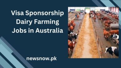 Visa Sponsorship Dairy Farming Jobs in Australia