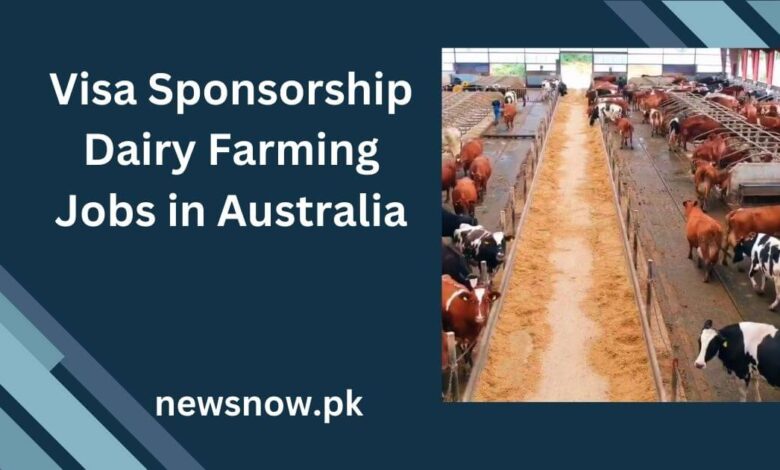 Visa Sponsorship Dairy Farming Jobs in Australia