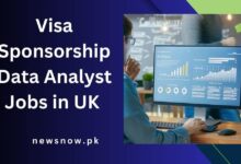 Visa Sponsorship Data Analyst Jobs in UK