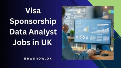 Visa Sponsorship Data Analyst Jobs in UK