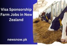 Visa Sponsorship Farm Jobs in New Zealand