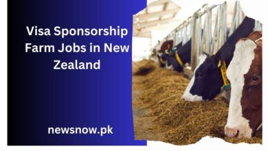 Visa Sponsorship Farm Jobs in New Zealand