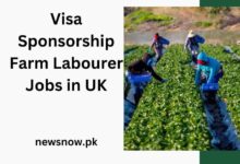 Visa Sponsorship Farm Labourer Jobs in UK