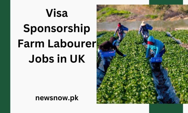 Visa Sponsorship Farm Labourer Jobs in UK