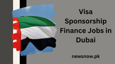 Visa Sponsorship Finance Jobs in Dubai