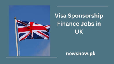 Visa Sponsorship Finance Jobs in UK