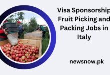 Visa Sponsorship Fruit Picking and Packing Jobs in Italy