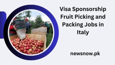 Visa Sponsorship Fruit Picking and Packing Jobs in Italy