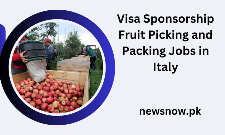 Visa Sponsorship Fruit Picking and Packing Jobs in Italy