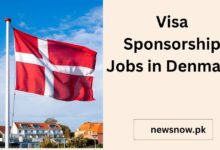 Visa Sponsorship Jobs in Denmark