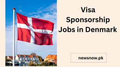 Visa Sponsorship Jobs in Denmark