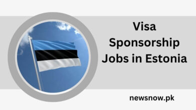 Visa Sponsorship Jobs in Estonia