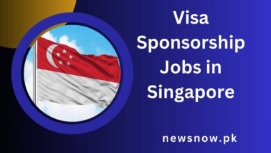 Visa Sponsorship Jobs in Singapore