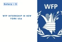 WFP Internship in New York USA