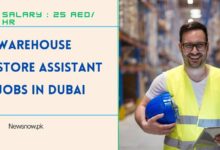 Warehouse Store Assistant Jobs in Dubai