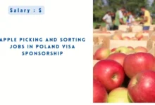 Apple Picking and Sorting Jobs in Poland