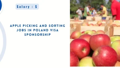 Apple Picking and Sorting Jobs in Poland